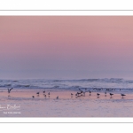 La plage de Quend-Plage (Côte Picarde) au crépuscule