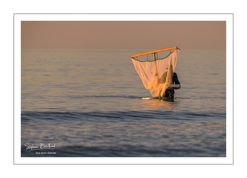 Pêcheurs au haveneau au soleil couchant