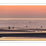 Pêcheurs au haveneau au soleil couchant