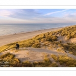 Les dunes de Quend-plage couvertes d'oyats