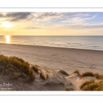 Les dunes de Quend-plage couvertes d'oyats