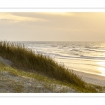 Les dunes du Marquenterre entre Fort-Mahon et la Baie d'Authie au soleil couchant