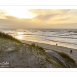 Les dunes du Marquenterre entre Fort-Mahon et la Baie d'Authie au soleil couchant