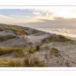 Les dunes du Marquenterre entre Fort-Mahon et la Baie d'Authie au soleil couchant