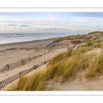 Les dunes du Marquenterre entre Fort-Mahon et la Baie d'Authie au soleil couchant