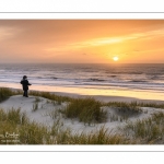 Les dunes du Marquenterre entre Fort-Mahon et la Baie d'Authie au soleil couchant