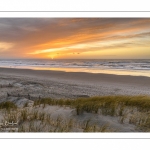 Les dunes du Marquenterre entre Fort-Mahon et la Baie d'Authie au soleil couchant