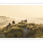 Les dunes du Marquenterre entre Fort-Mahon et la Baie d'Authie au soleil couchant