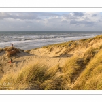 Les dunes du Marquenterre entre Fort-Mahon et la Baie d'Authie au soleil couchant