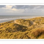 Les dunes du Marquenterre entre Fort-Mahon et la Baie d'Authie au soleil couchant