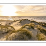 Les dunes du Marquenterre entre Fort-Mahon et la Baie d'Authie au soleil couchant