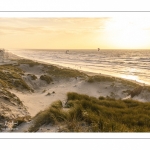 Les dunes du Marquenterre entre Fort-Mahon et la Baie d'Authie au soleil couchant