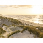 Les dunes du Marquenterre entre Fort-Mahon et la Baie d'Authie au soleil couchant