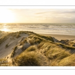 Les dunes du Marquenterre entre Fort-Mahon et la Baie d'Authie au soleil couchant