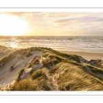 Les dunes du Marquenterre entre Fort-Mahon et la Baie d'Authie au soleil couchant