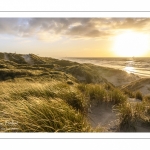 Les dunes du Marquenterre entre Fort-Mahon et la Baie d'Authie au soleil couchant