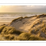 Les dunes du Marquenterre entre Fort-Mahon et la Baie d'Authie au soleil couchant