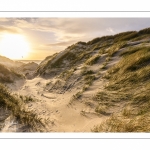 Les dunes du Marquenterre entre Fort-Mahon et la Baie d'Authie au soleil couchant