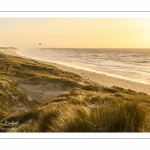 Les dunes du Marquenterre entre Fort-Mahon et la Baie d'Authie au soleil couchant