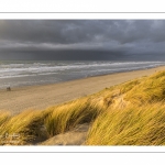 Les dunes du Marquenterre entre Fort-Mahon et la Baie d'Authie au soleil couchant