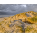 Les dunes du Marquenterre entre Fort-Mahon et la Baie d'Authie au soleil couchant