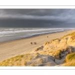 Les dunes du Marquenterre entre Fort-Mahon et la Baie d'Authie au soleil couchant