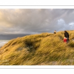 Les dunes du Marquenterre entre Fort-Mahon et la Baie d'Authie au soleil couchant