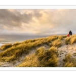 Les dunes du Marquenterre entre Fort-Mahon et la Baie d'Authie au soleil couchant