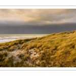 Les dunes du Marquenterre entre Fort-Mahon et la Baie d'Authie au soleil couchant