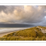 Les dunes du Marquenterre entre Fort-Mahon et la Baie d'Authie au soleil couchant