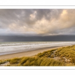 Les dunes du Marquenterre entre Fort-Mahon et la Baie d'Authie au soleil couchant