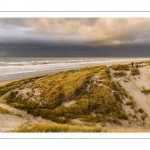 Les dunes du Marquenterre entre Fort-Mahon et la Baie d'Authie au soleil couchant