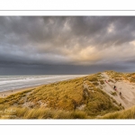 Les dunes du Marquenterre entre Fort-Mahon et la Baie d'Authie au soleil couchant