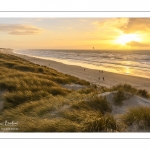 Les dunes du Marquenterre entre Fort-Mahon et la Baie d'Authie au soleil couchant