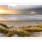 Les dunes du Marquenterre entre Fort-Mahon et la Baie d'Authie au soleil couchant