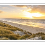 Les dunes du Marquenterre entre Fort-Mahon et la Baie d'Authie au soleil couchant