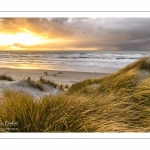 Les dunes du Marquenterre entre Fort-Mahon et la Baie d'Authie au soleil couchant