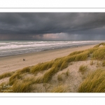 Les dunes du Marquenterre entre Fort-Mahon et la Baie d'Authie au soleil couchant