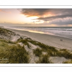 Les dunes du Marquenterre entre Fort-Mahon et la Baie d'Authie au soleil couchant