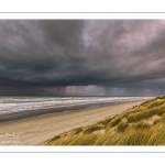 Les dunes du Marquenterre entre Fort-Mahon et la Baie d'Authie au soleil couchant