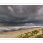 Les dunes du Marquenterre entre Fort-Mahon et la Baie d'Authie au soleil couchant