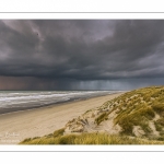 Les dunes du Marquenterre entre Fort-Mahon et la Baie d'Authie au soleil couchant