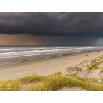 Les dunes du Marquenterre entre Fort-Mahon et la Baie d'Authie au soleil couchant