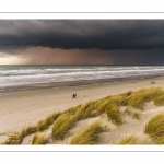 Les dunes du Marquenterre entre Fort-Mahon et la Baie d'Authie au soleil couchant