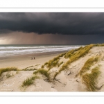 Les dunes du Marquenterre entre Fort-Mahon et la Baie d'Authie au soleil couchant