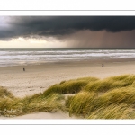 Les dunes du Marquenterre entre Fort-Mahon et la Baie d'Authie au soleil couchant