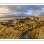 Les dunes du Marquenterre entre Fort-Mahon et la Baie d'Authie au soleil couchant