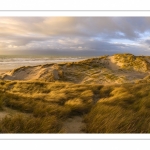 Les dunes du Marquenterre entre Fort-Mahon et la Baie d'Authie au soleil couchant