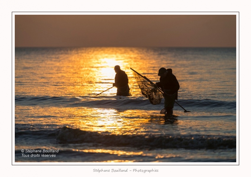 Quend_Crevette_26_10_2015_005-border