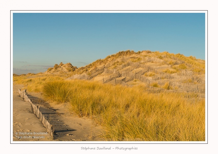 Quend_Plage_dunes_15_02_2015_002-border.jpg